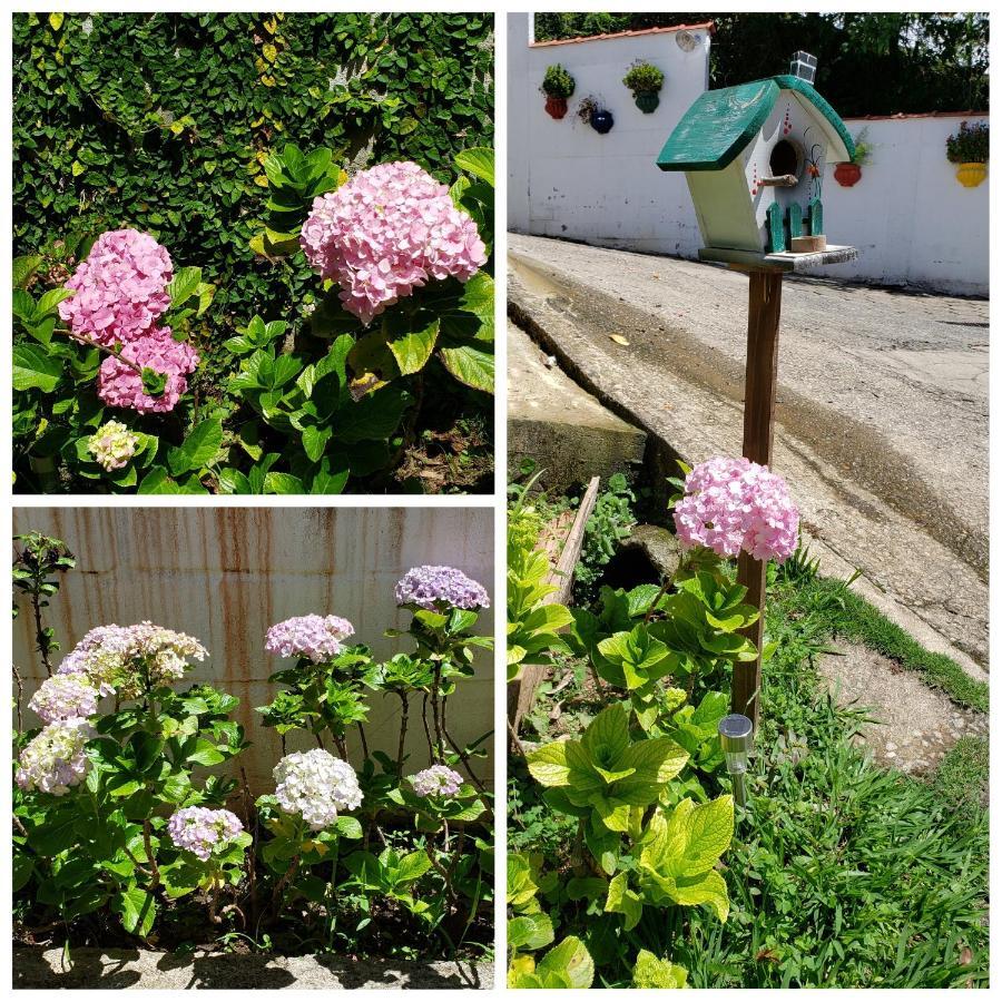 Pousada Das Hortensias Conservatória Eksteriør billede